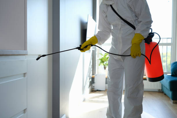Best Mold Remediation for Specific Building Types in Onalaska, TX
