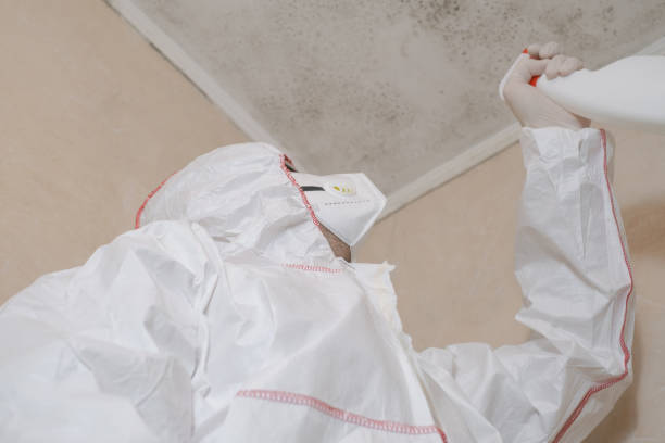 Best Kitchen Mold Remediation in Onalaska, TX