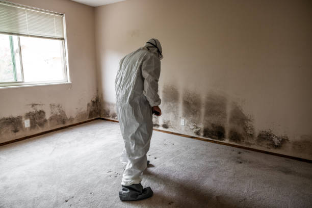 Best Industrial Mold Remediation in Onalaska, TX